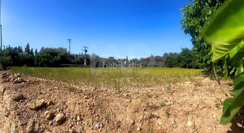 Foto d1ea5eb8-818f-4ba2-a5fc-b9e176f14000. Residential plot in Valls