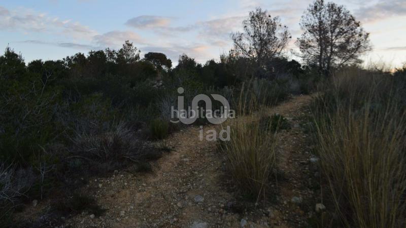 Foto aaad582b-7d4e-410b-8508-46f22c8f8223. Terreny residencial a calle piscina 6 6 a Segur de Calafell nucli urbà Segur de Calafell