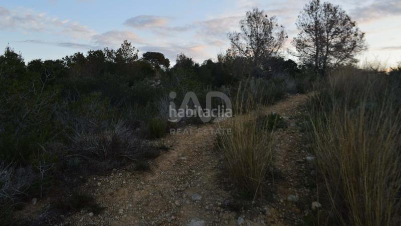 Foto af652876-5b22-42be-acc9-ca419c79bf1c. Terreno residencial en calle piscina 6 6 en Segur de Calafell nucli urbà Segur de Calafell