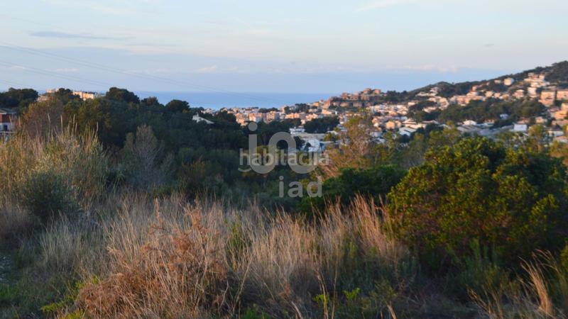Foto e1bb5956-30ff-44dc-b36f-52c7ce70d7d9. Terreno residenziale in calle piscina 6 6 in Segur de Calafell nucli urbà Segur de Calafell