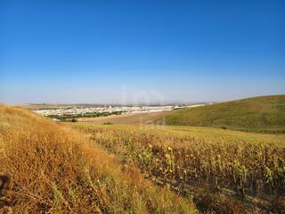 Terreno residencial en Écija