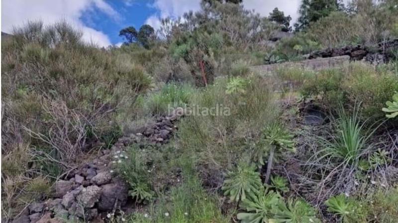Foto dcb741ca-e2af-470f-8725-a2b27d01084f. Terreno residencial en Tamaimo - Arguayo Santiago del Teide