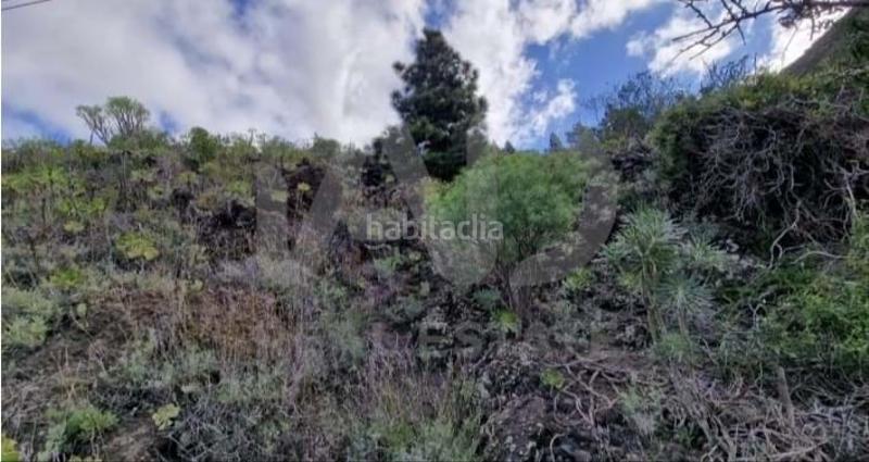 Foto 4fef8482-cc5e-4119-bf87-156675a6c7cd. Terreno residenziale in Tamaimo - Arguayo Santiago del Teide