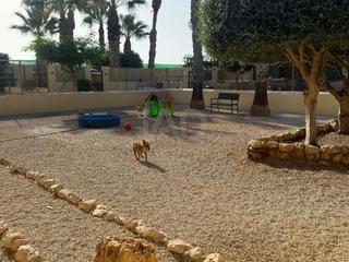 Casa a La Foia - Daimés - Asprella