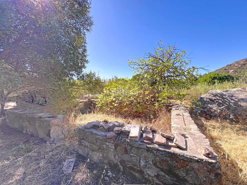 Foto c7cac0a7-826e-45ed-aa3c-f189bd83928e. Maison avec chauffage dans Facinas Tarifa