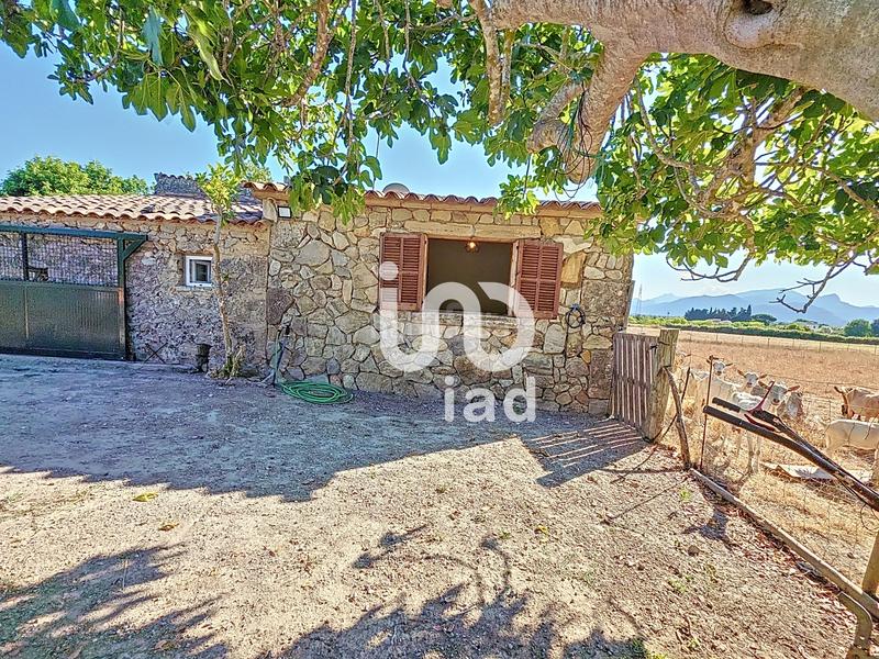 Foto 45765740-776e-4231-b1fe-528adc9fc726. Location maison dans ciutat d´Alcúdia Alcúdia