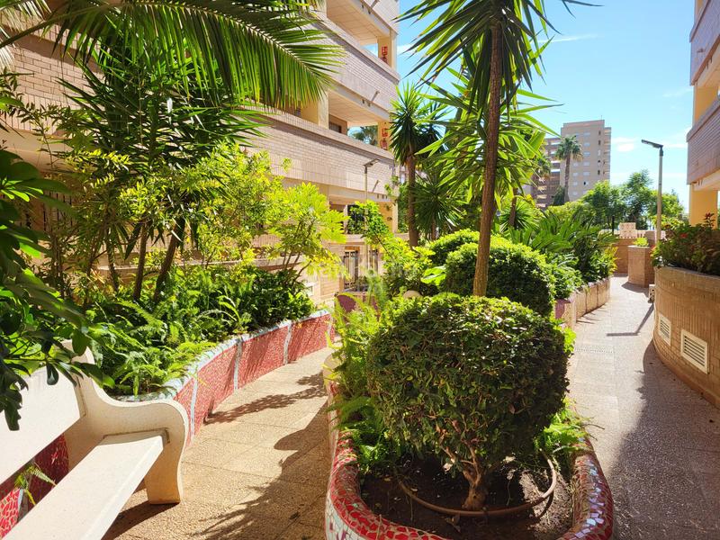 Foto 5633a44f-0c72-426c-afb6-b7111d3d4e19. Appartamento in avenida central 38 in Costa Caribe Oropesa del Mar