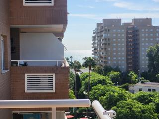 Pis  Avenida central 38