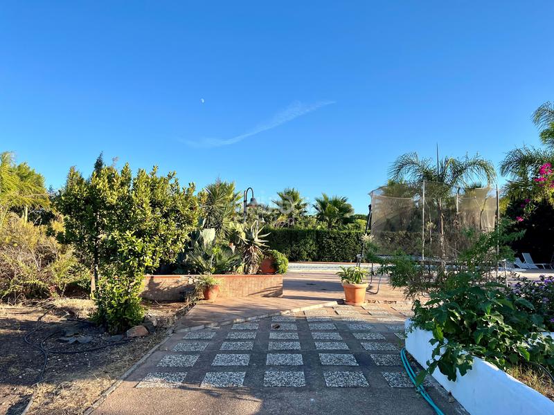 Foto b6b0746b-8c17-4ea4-9eb1-782f2155fa7d. Casale con riscaldamento parcheggio piscina in Ayamonte ciudad Ayamonte