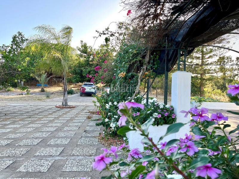 Foto c0fce40a-44ed-4830-b4f6-ebcdb1482905. Masía en Ayamonte ciudad Ayamonte