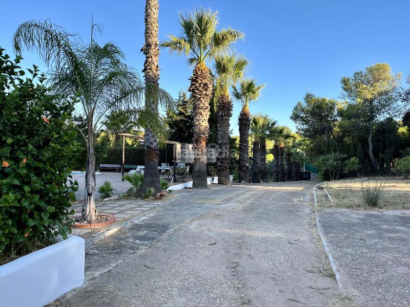 Foto ea09cac2-9b4d-4ee9-8262-625239755687. Masía en Ayamonte ciudad Ayamonte