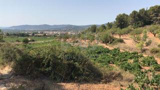 Propriété à Bisbal del Penedès (La)