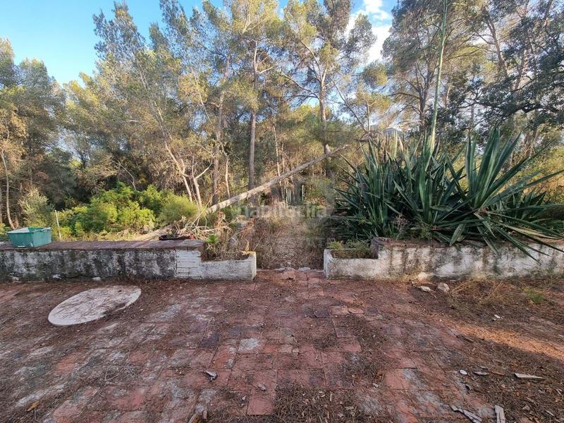 Foto 21a58cc0-0dcc-4cfb-a447-21fa9e0710b3. Fondo rustico in Valletes - Xiribecs Amposta