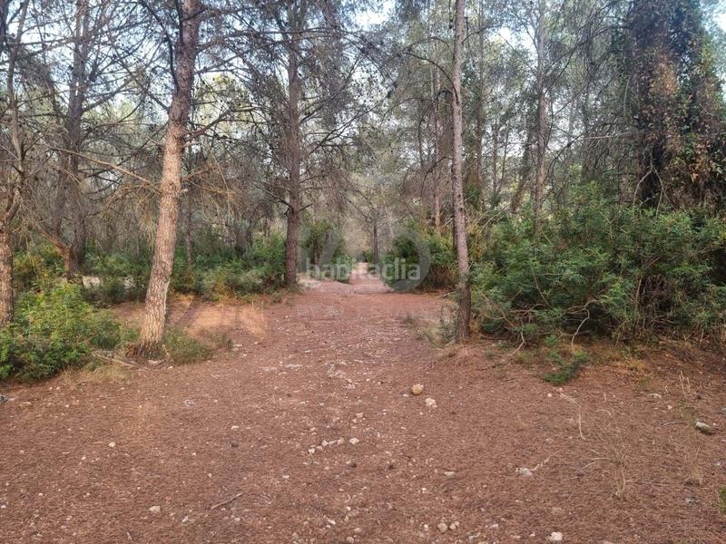 Foto 285f1be1-0358-4db7-969c-157426e279a2. Fondo rustico in Valletes - Xiribecs Amposta