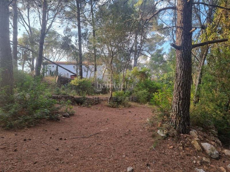 Foto 403e7577-6ade-4695-8757-32a1b778218e. Fondo rustico in Valletes - Xiribecs Amposta