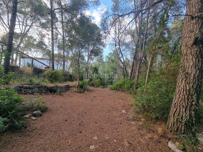 Foto d16a3973-2310-4d54-85f1-61253cf2f0f4. Fondo rustico in Valletes - Xiribecs Amposta