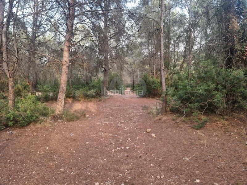 Foto da2a2979-db0c-4f45-b01f-688ad020467a. Fondo rustico in Valletes - Xiribecs Amposta