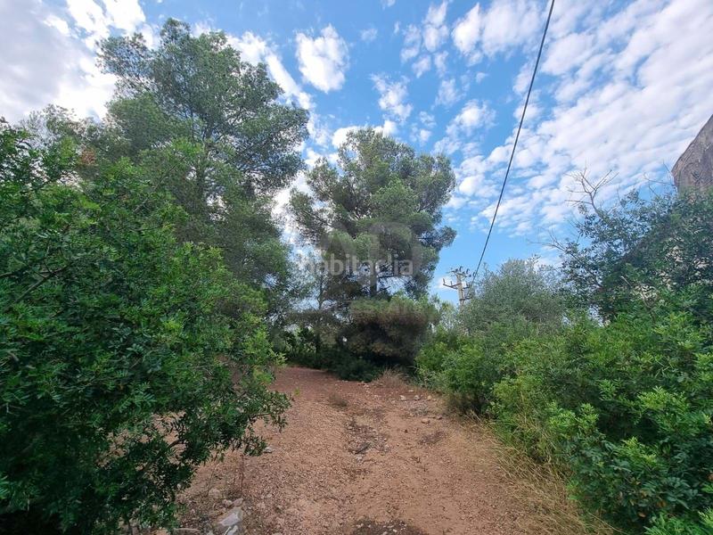 Foto 48849ab6-fa00-491d-ab1a-7f0e6787232a. Landgut in Valletes - Xiribecs Amposta