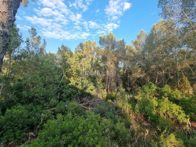 Foto 5881bcd1-798f-4751-8bd8-c17016afffd7. Landgut in Valletes - Xiribecs Amposta