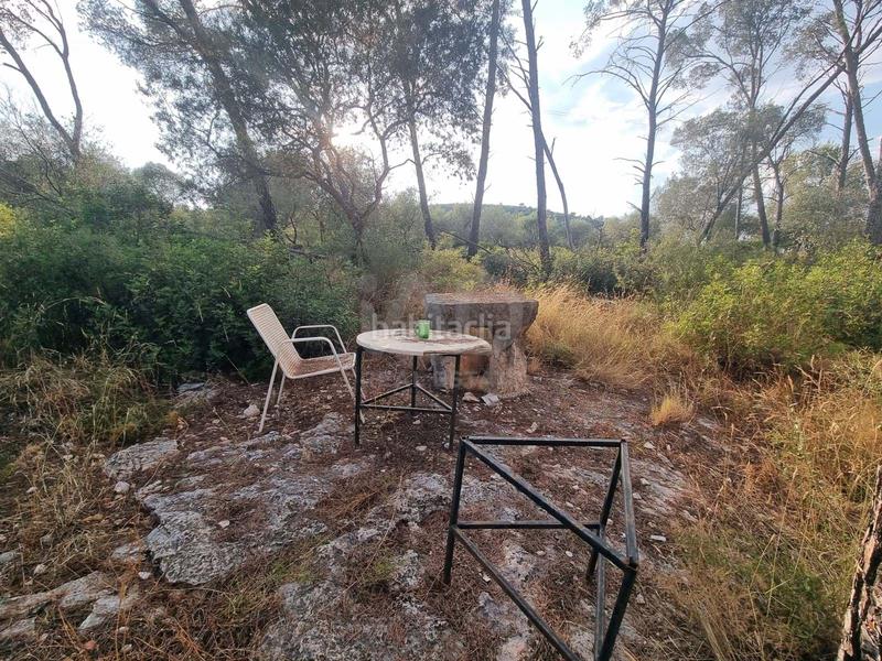 Foto 5a8b5c4e-670b-4250-a3be-71ed0011b2f4. Landgut in Valletes - Xiribecs Amposta