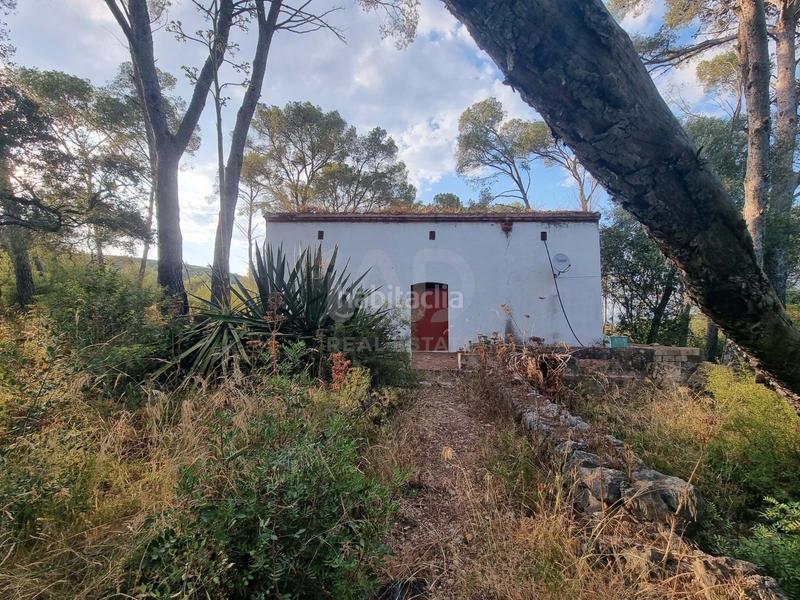 Foto c245bf29-40d9-4069-8161-3ce093d9af87. Landgut in Valletes - Xiribecs Amposta