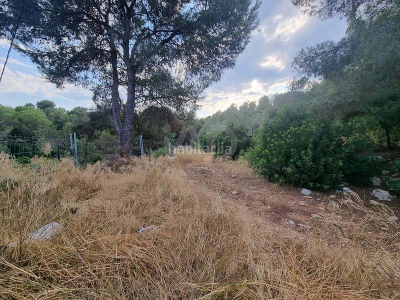 Foto fc97e4eb-daa0-4332-8231-1a6609521581. Landgut in Valletes - Xiribecs Amposta