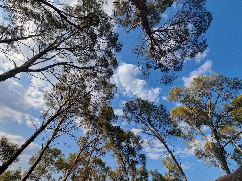 Foto 8812e8d3-3c38-4368-8c98-320f81ad2a7a. Propriété dans Valletes - Xiribecs Amposta