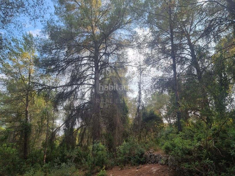 Foto e4c23314-49bf-457b-8eb8-fe0c0a55afea. Propriété dans Valletes - Xiribecs Amposta