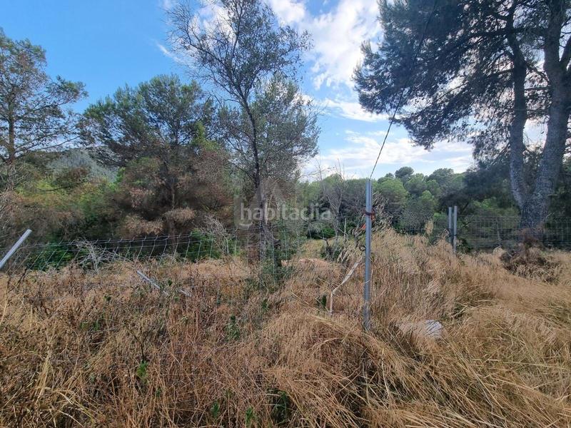 Foto 13209d76-ba87-4cc8-afc6-9dd2eea64ed4. Rural plot in Valletes - Xiribecs Amposta