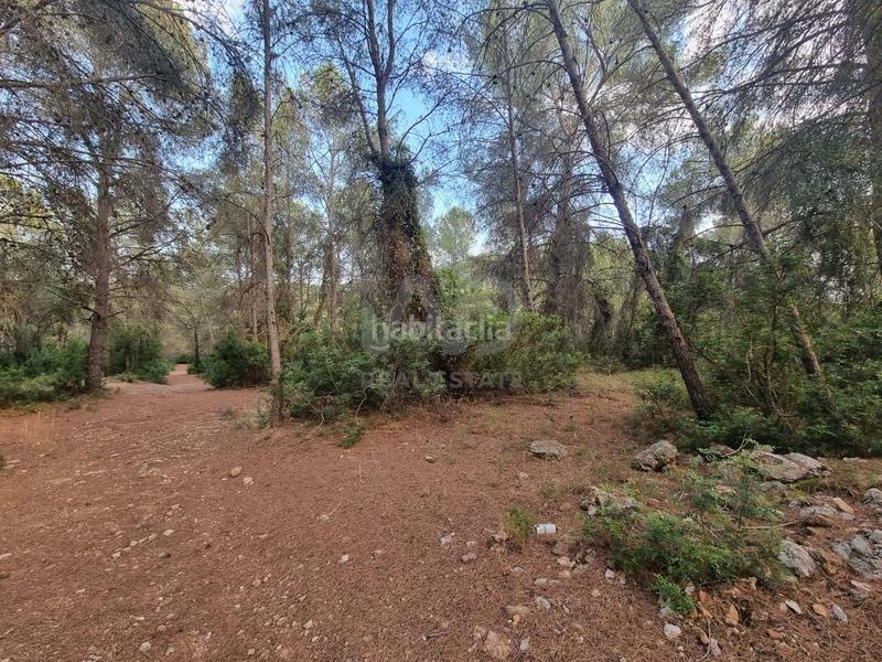 Foto 202d78d5-237d-464a-a794-eaa37b9e34c8. Rural plot in Valletes - Xiribecs Amposta