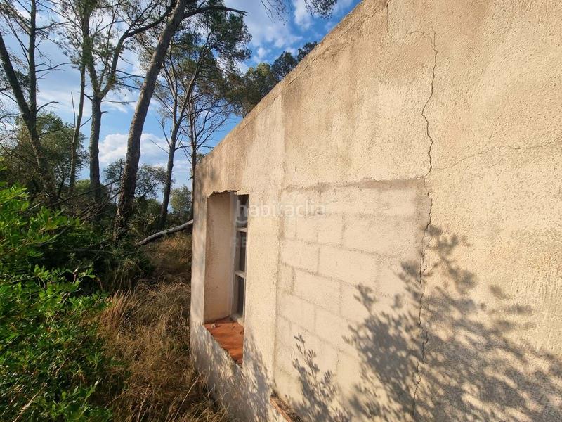 Foto 58814bd9-c944-4d45-b5e6-287c78371178. Rural plot in Valletes - Xiribecs Amposta