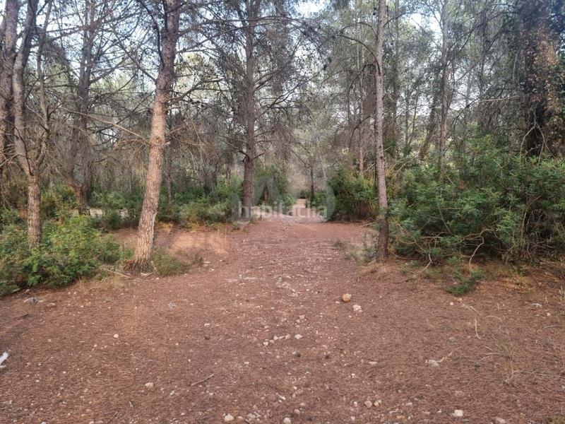 Foto 63ac7e87-cfa4-4cdc-af0d-b9c66886c5de. Rural plot in Valletes - Xiribecs Amposta