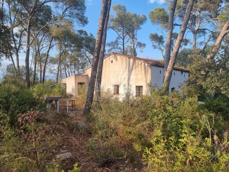 Foto 7d023941-b3e6-40bc-9433-4bdb57baf907. Rural plot in Valletes - Xiribecs Amposta