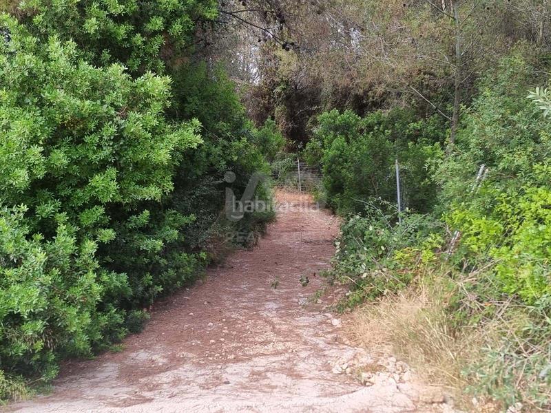 Foto bcfd04f0-5cb8-4512-ac03-ca190df4e0c9. Rural plot in Valletes - Xiribecs Amposta