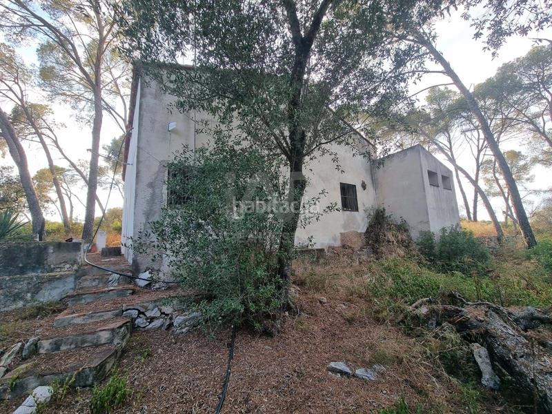 Foto cbbf9a00-b8f0-42c5-ab50-8f7085b0a078. Rural plot in Valletes - Xiribecs Amposta