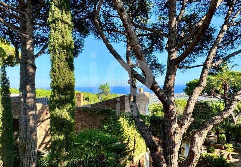 Foto d478d134-2021-42cd-983a-d710ad6063f9. Casa en Cabrils