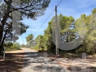 Wohngrundstück  Camino partida "comas" poligono 6 parcela 121 - vallmoll 6 6