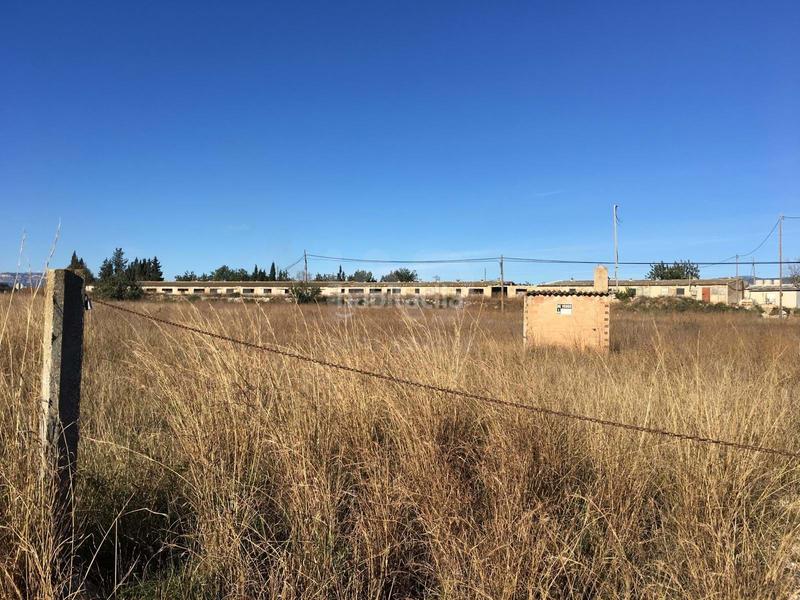 Foto 2b59e171-33df-4d60-8ce0-aabbfe8070e9. Fondo rustico in Ulldecona