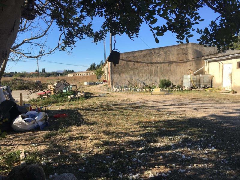 Foto 42b7c805-7322-441d-9fea-a2d37b4a4139. Fondo rustico in Ulldecona