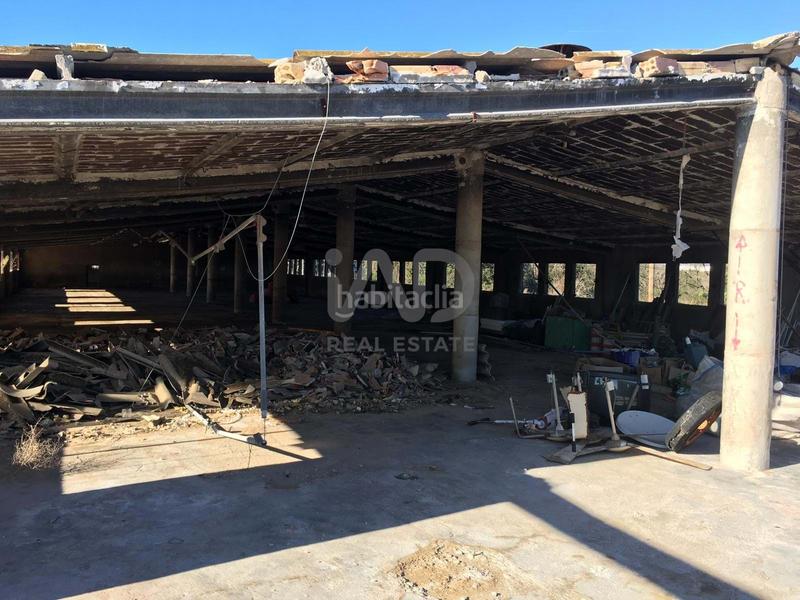 Foto 6a15ae26-3d16-4cd4-98ba-4bd9af902831. Fondo rustico in Ulldecona