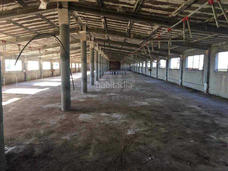 Foto 032921ef-18af-4746-acf7-1692783d60fa. Rural plot in Ulldecona