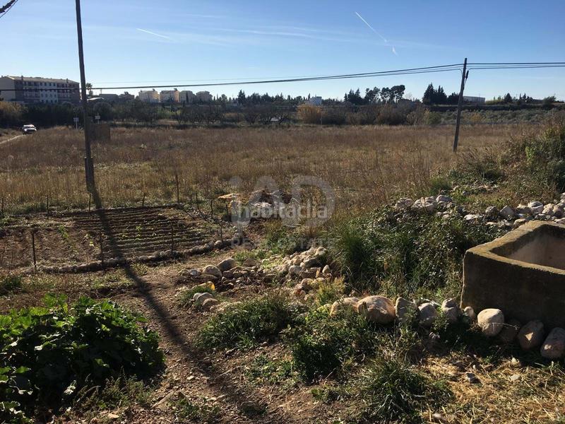 Foto 1a47890b-3d79-430a-8700-fce1372c8d94. Rural plot in Ulldecona