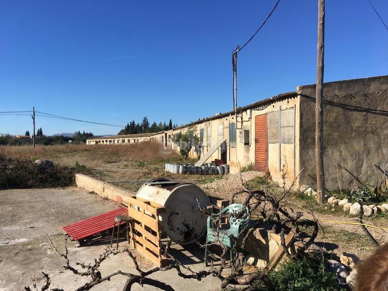 Foto 1ff7d98d-c1cc-42ca-823a-aff37d55097d. Rural plot in Ulldecona