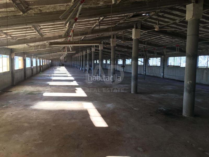 Foto 596b5316-6fd7-4b60-9cad-f93dc3fd40c5. Rural plot in Ulldecona