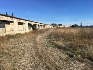 Rural plot in Ulldecona