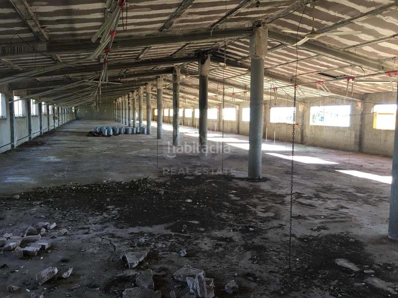 Foto 9ff0bf5a-c03c-492c-a9cc-f81c5e3a72bb. Rural plot in Ulldecona