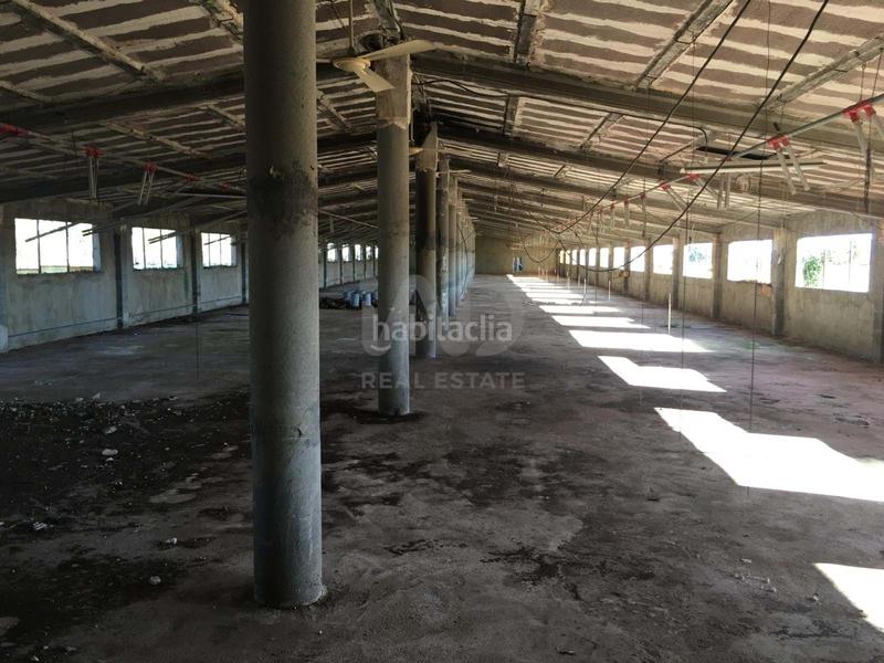 Foto b9ec236b-7dcf-4a64-b9f8-0513a8d15a99. Rural plot in Ulldecona