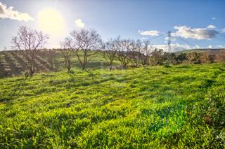 Residential Plot in Ardales