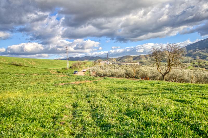 Foto 05d71d2f-d4eb-4243-a8b7-24be48d1582d. Terreno residenziale in Ardales