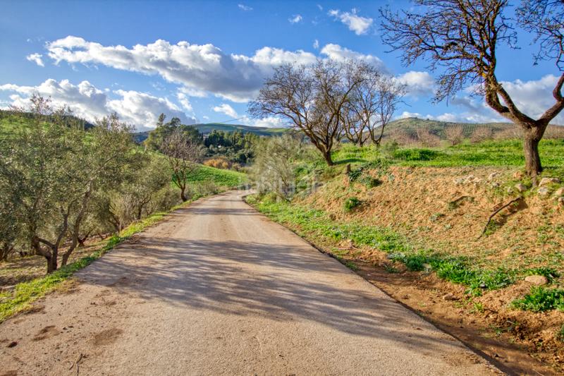 Foto 1f88b6ed-8a25-4b14-943f-35cc676a320d. Terreno residenziale in Ardales